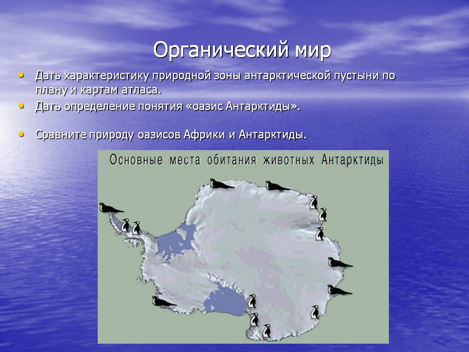 Органический мир