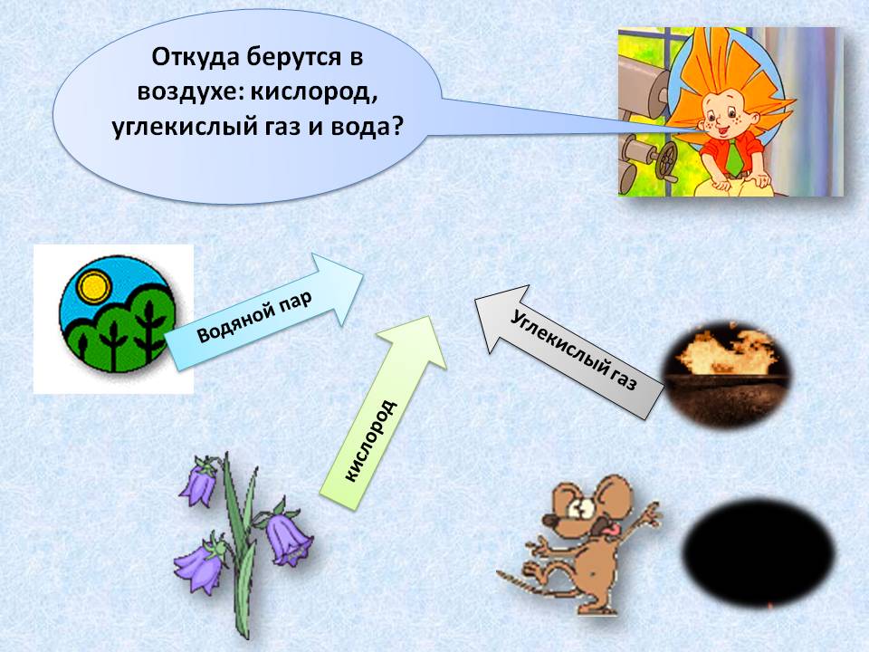 Откуда берутся в воздухе: кислород, углекислый газ и вода