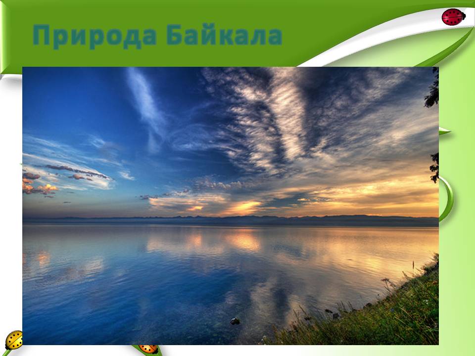 Природа Байкала