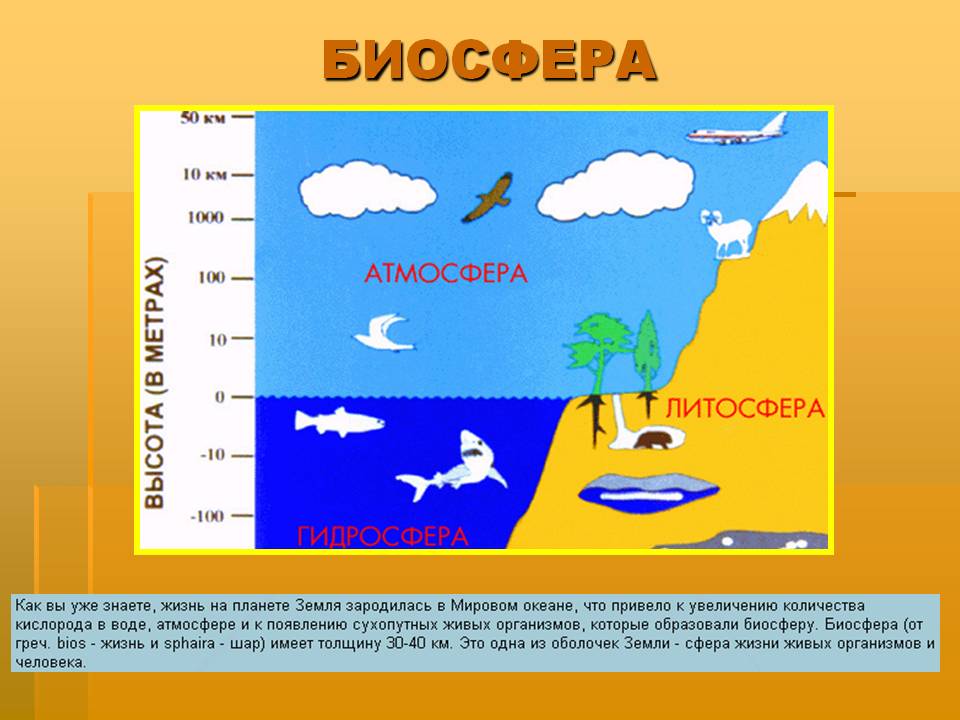 Биосфера