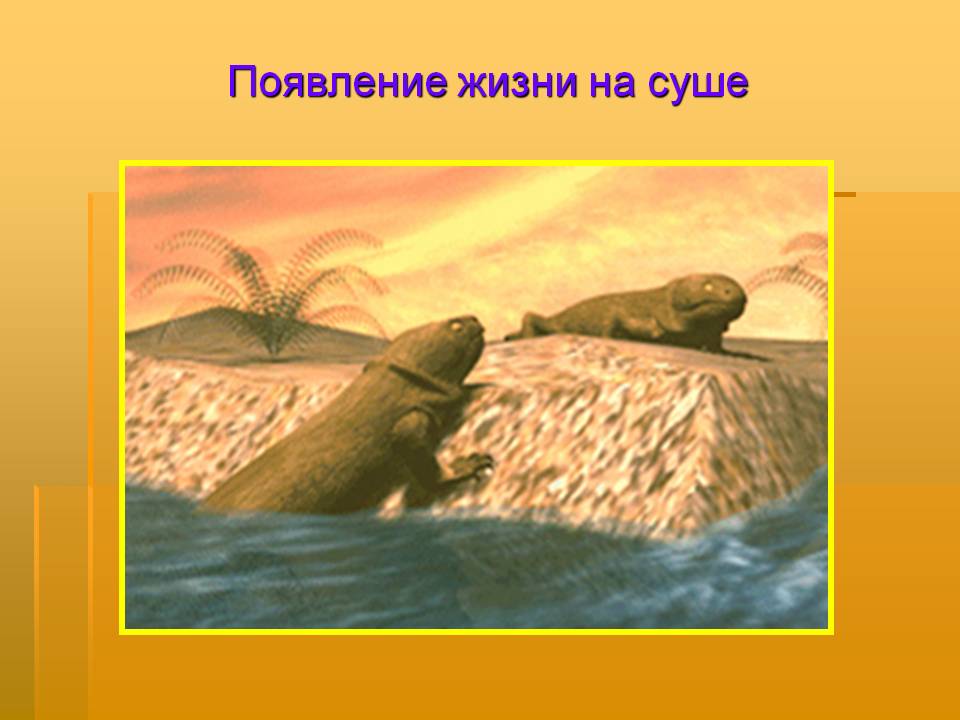 Появление жизни на суше