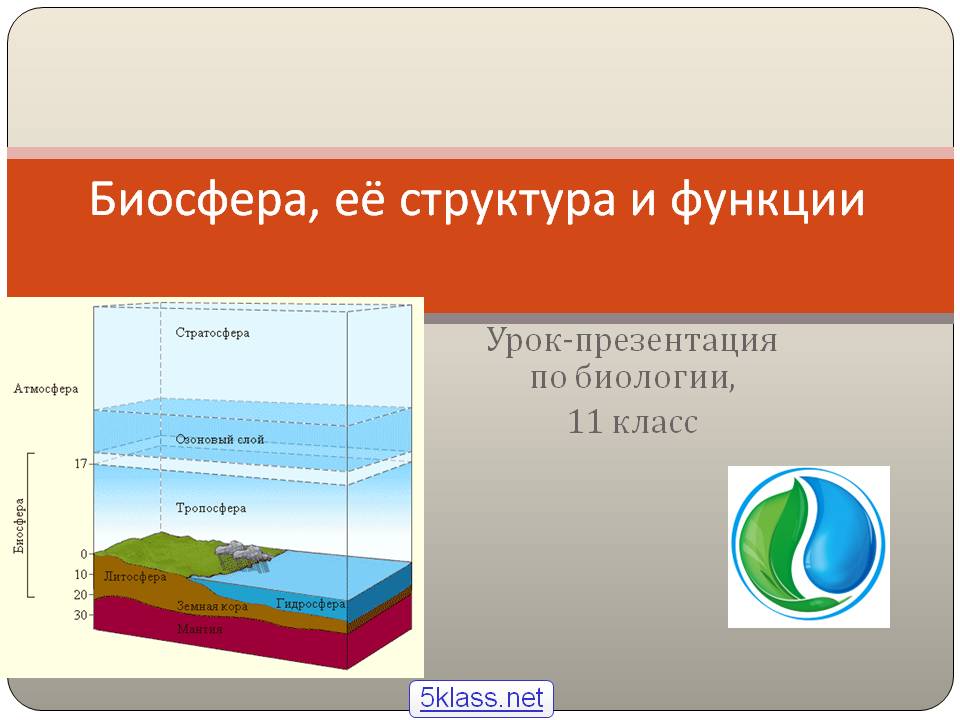 Биосфера, её структура и функции