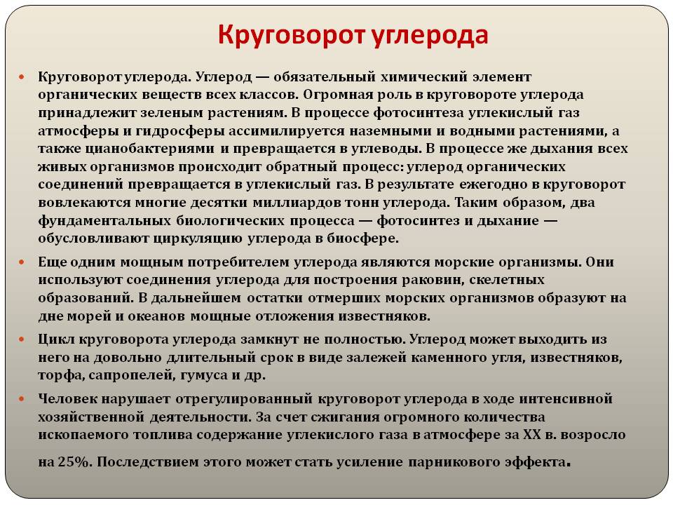 Круговорот углерода