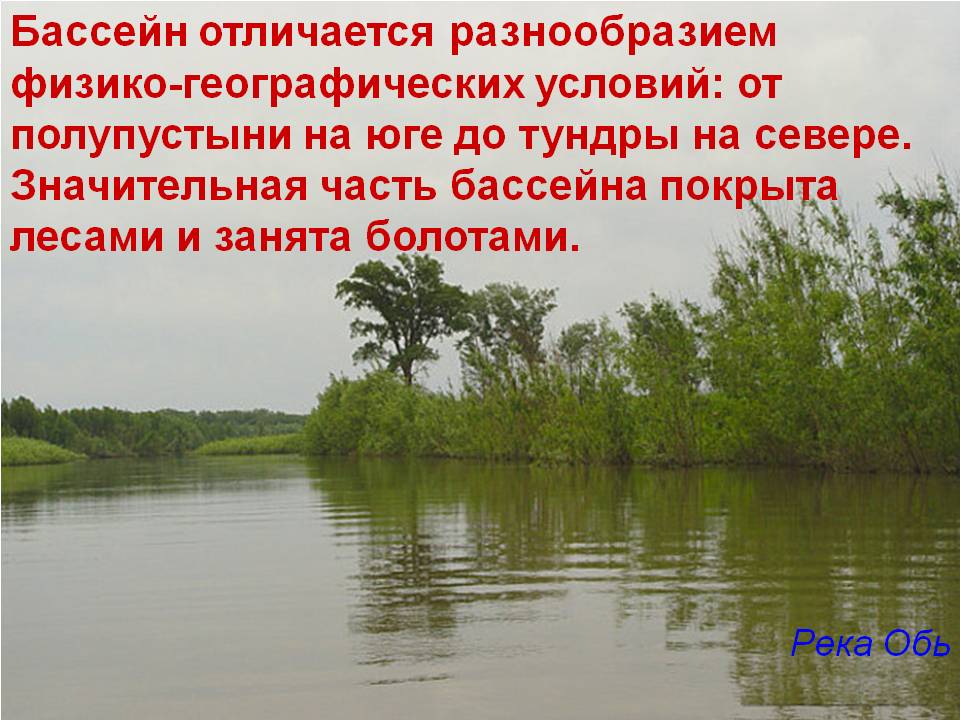 Река Обь
