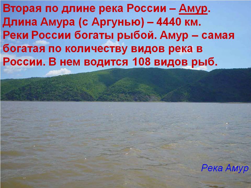 Амур