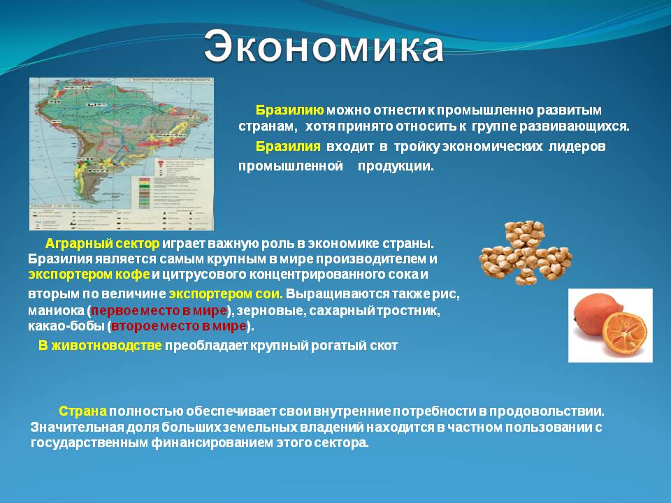 Экономика