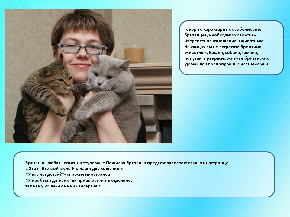 Трепетное отношение к животным