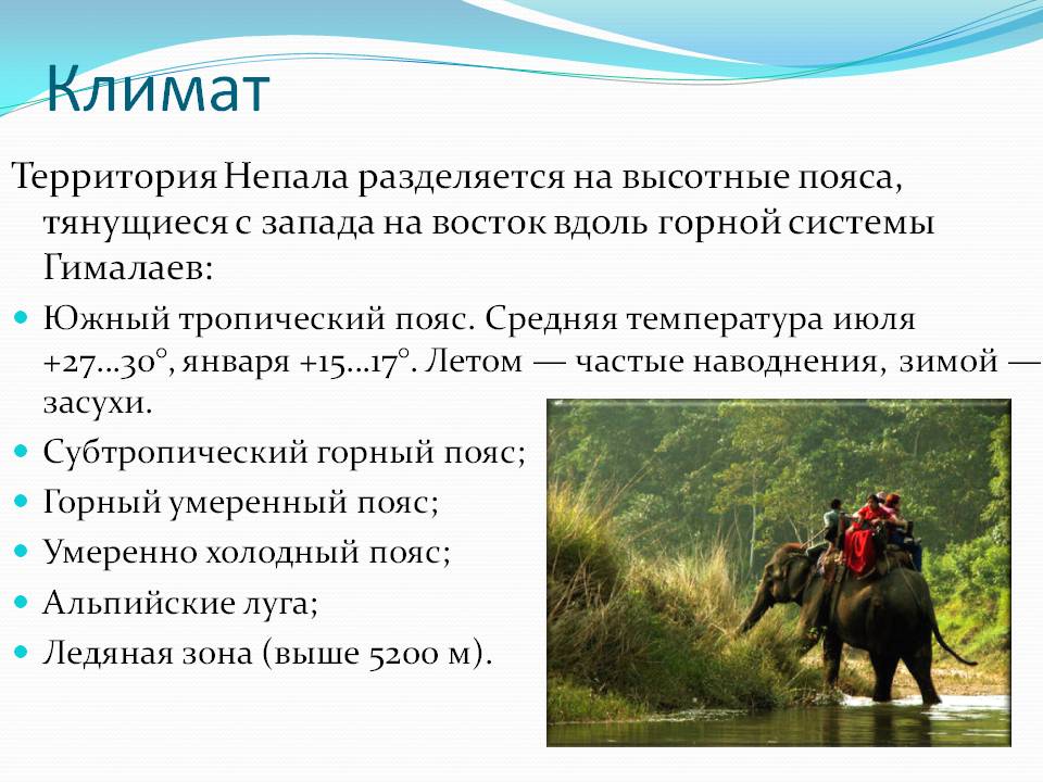 Климат