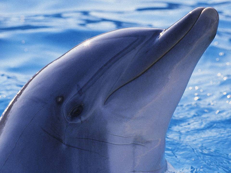 Чёрное море