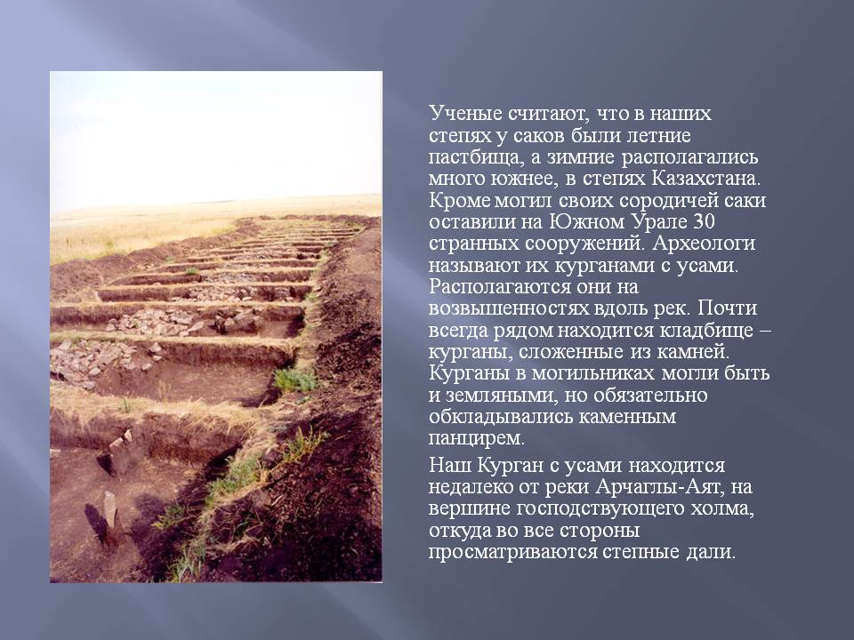 Летние пастбища