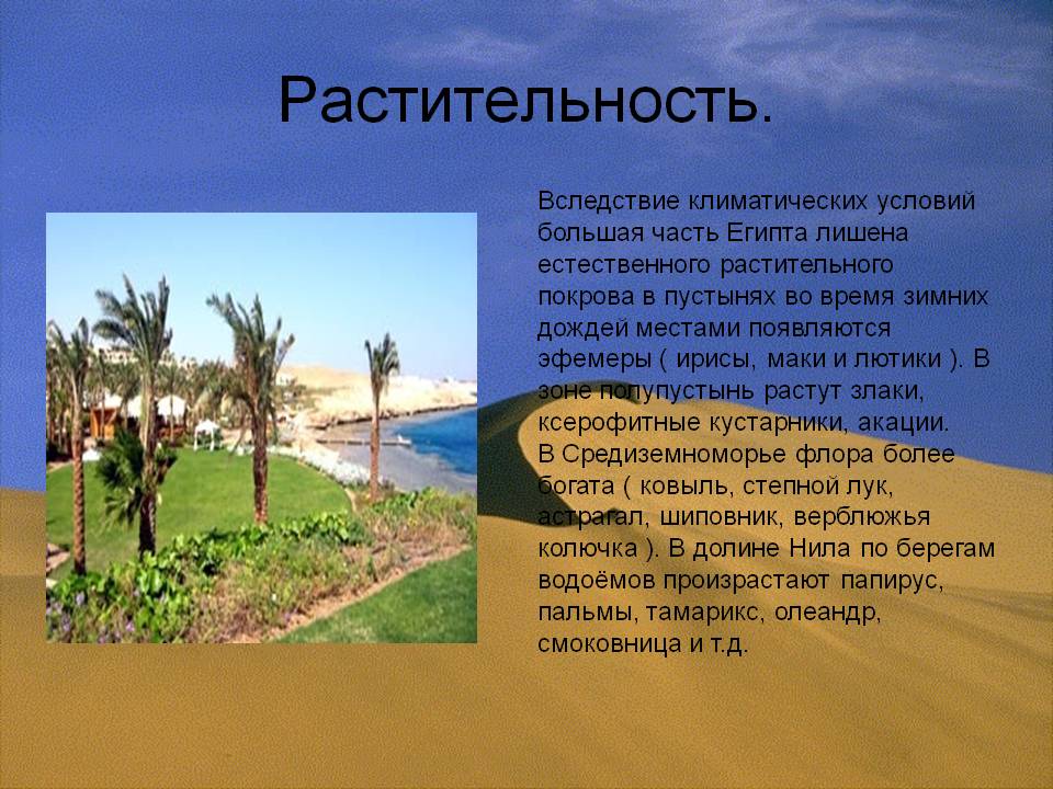 Растительность