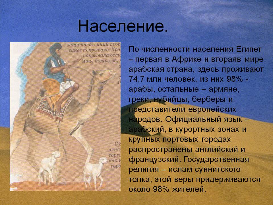 Население