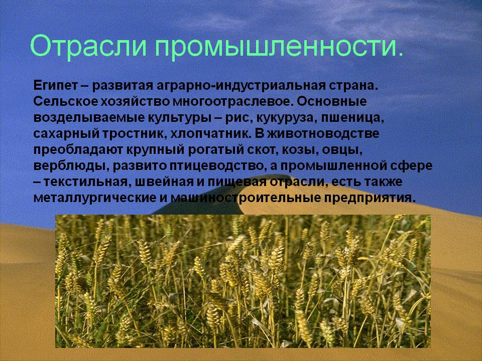 Отрасли промышленности