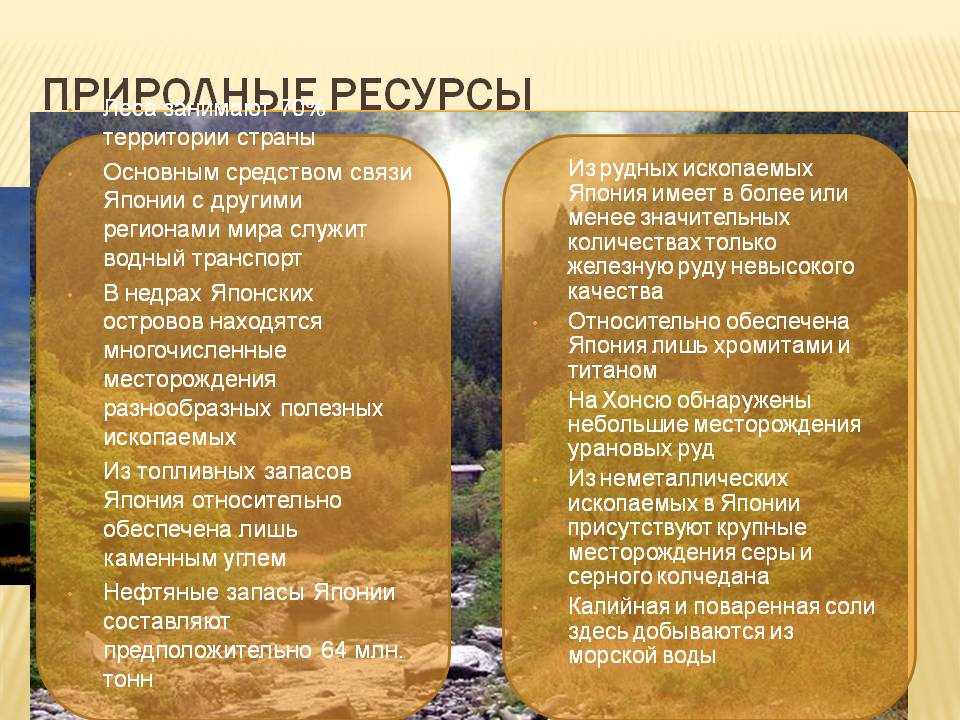 Леса