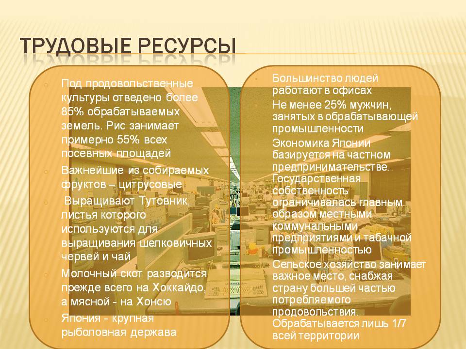 Трудовые ресурсы