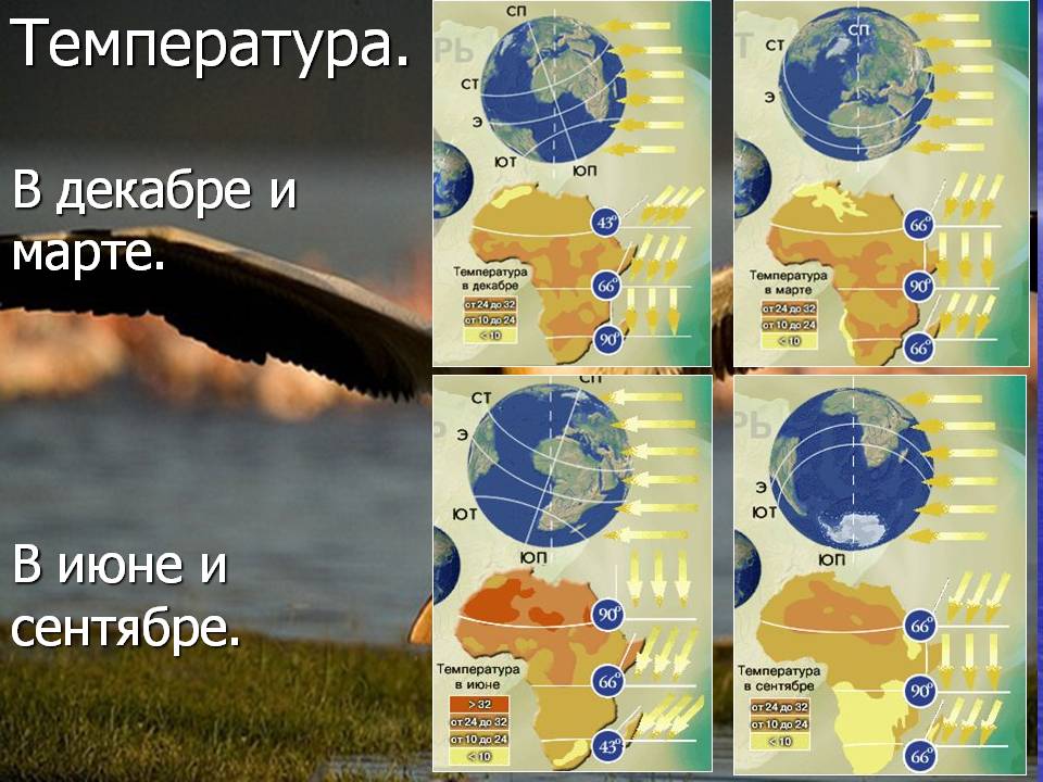 Температура