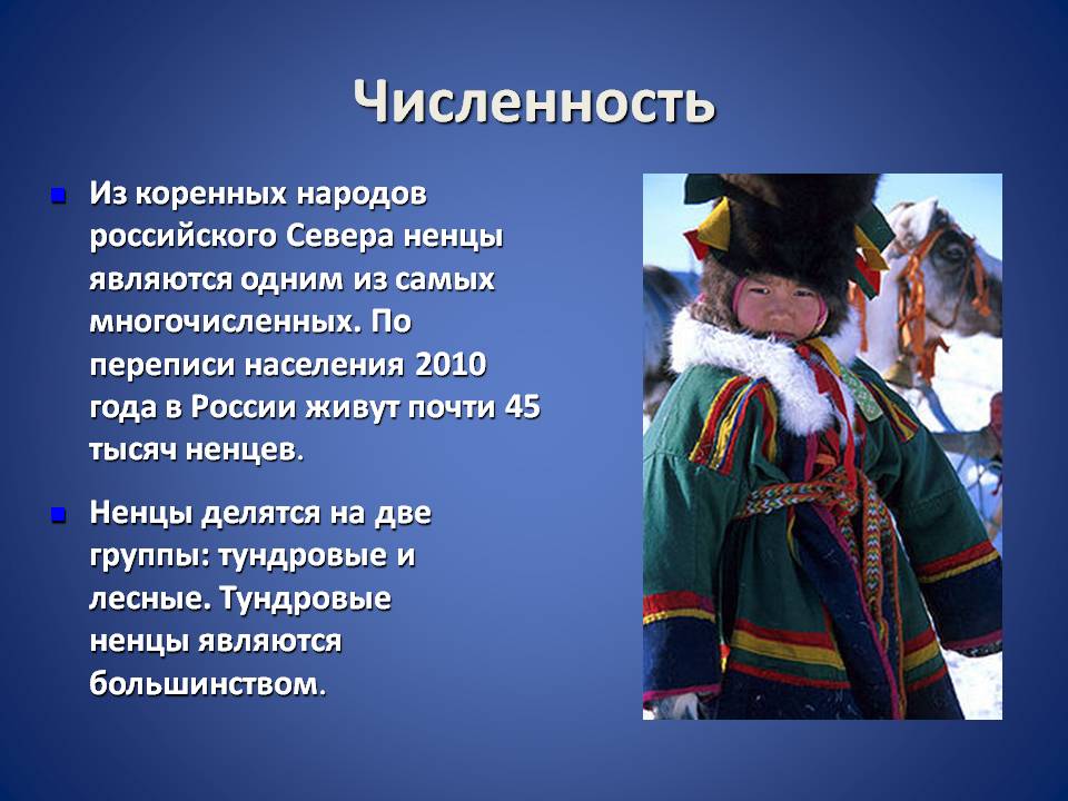 Численность