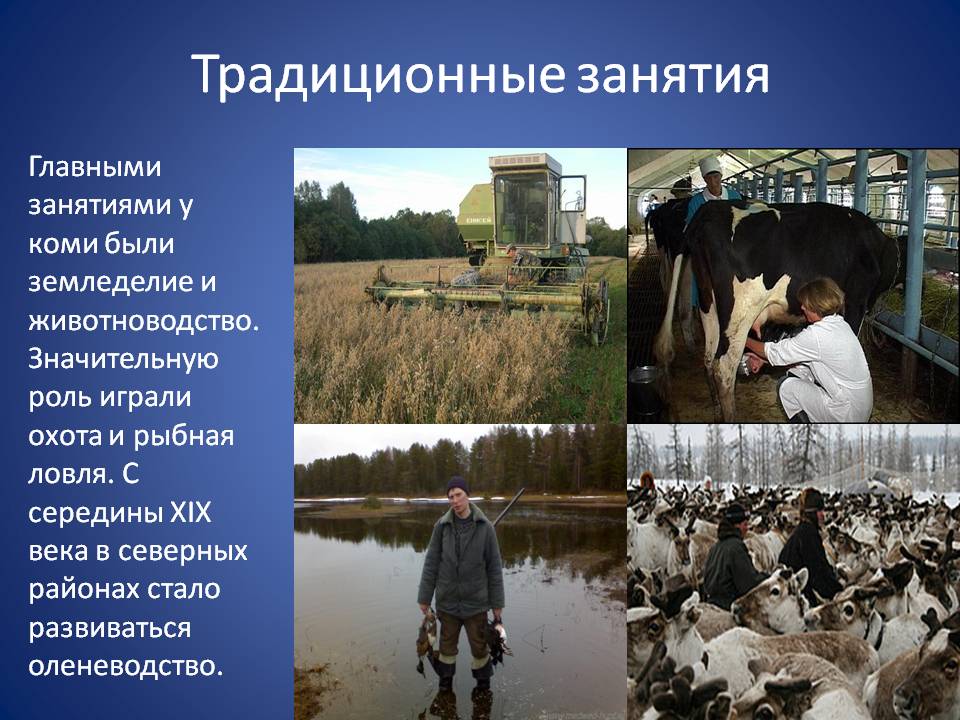 Традиционные занятия