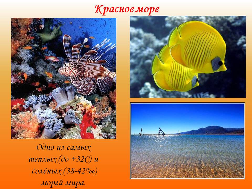Красное море