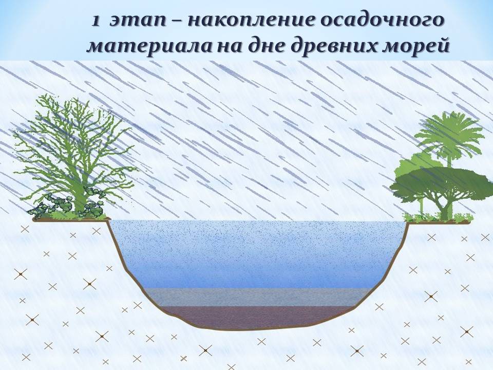 Накопление осадочного материала