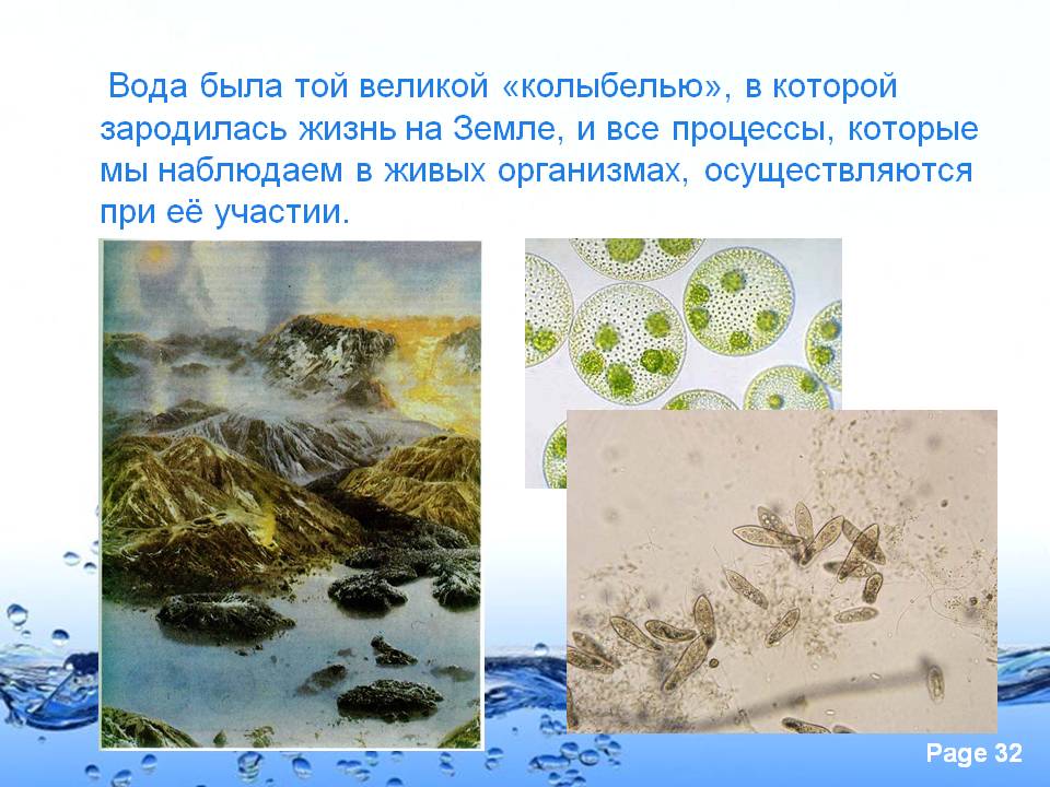 Жизнь