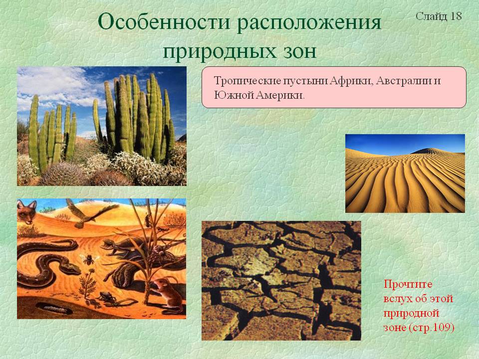 Особенности расположения природных зон