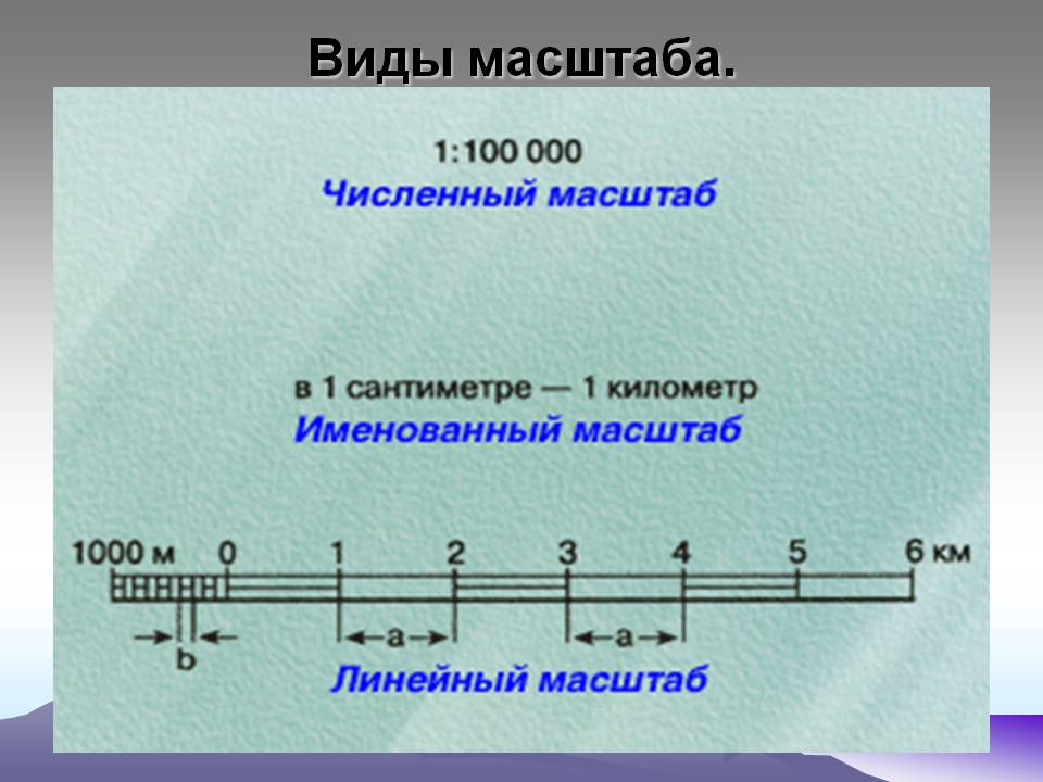 Виды масштаба