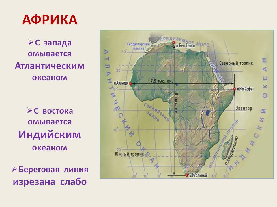 АФРИКА с запада омывается Атлантическим океаном