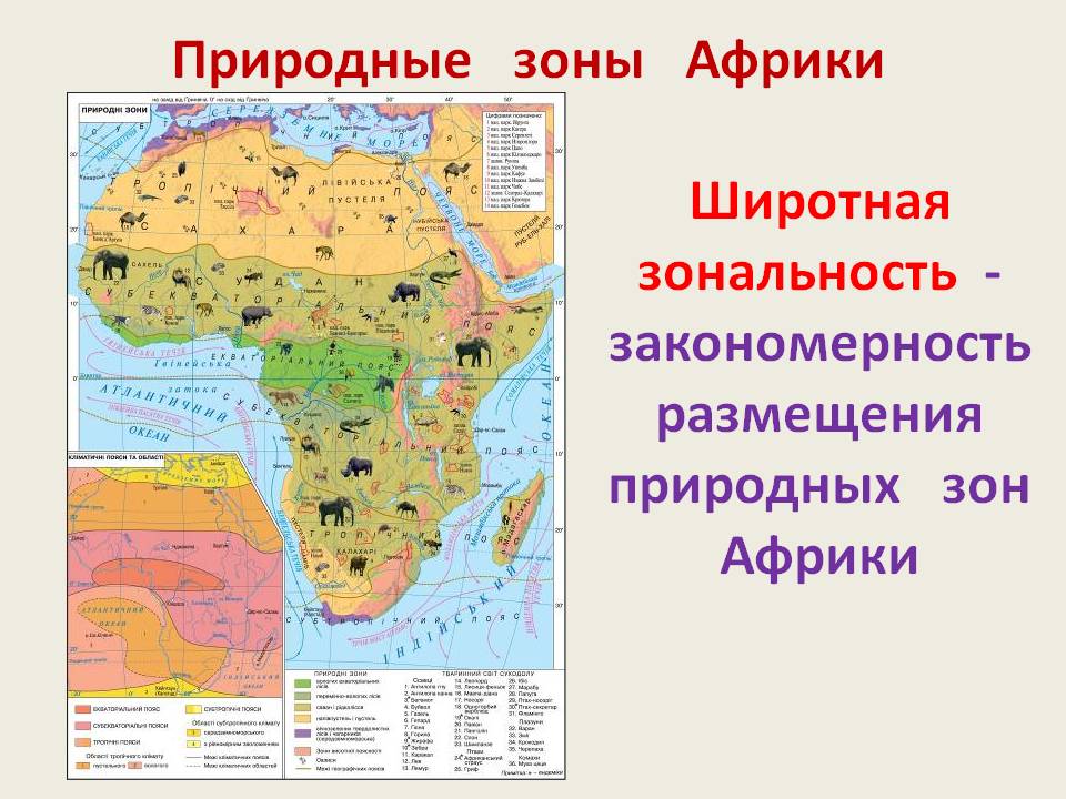 Природные зоны Африки