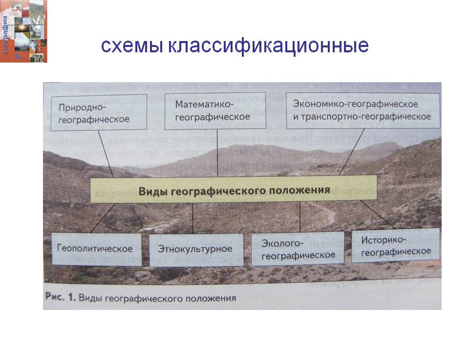 Схемы классификационные