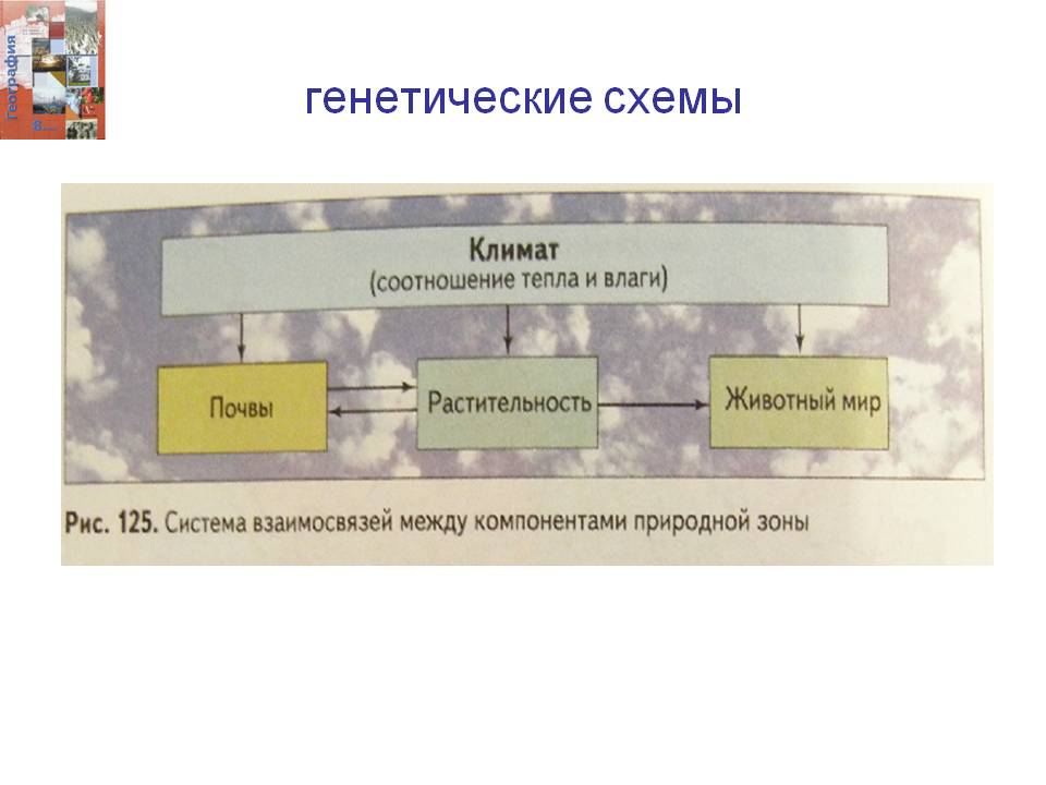 Генетические схемы
