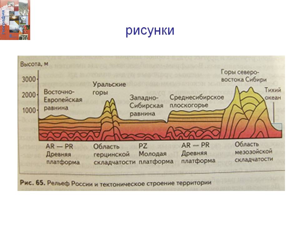 Рисунки