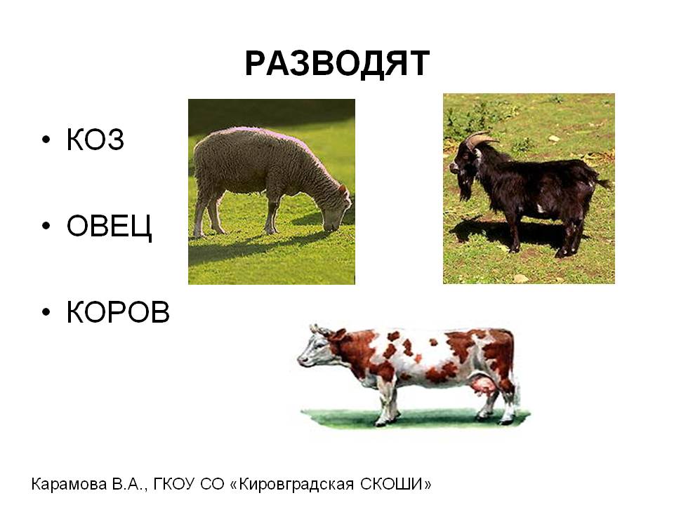Разводят