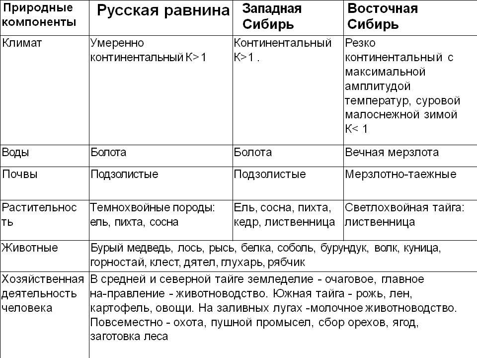 Тайга