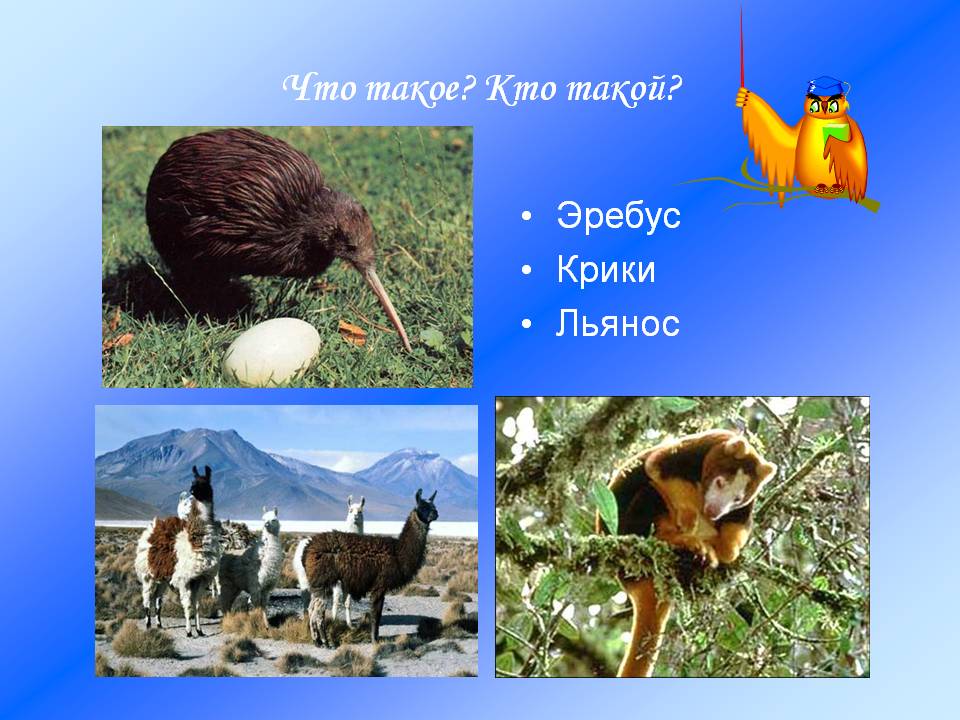 Что такое