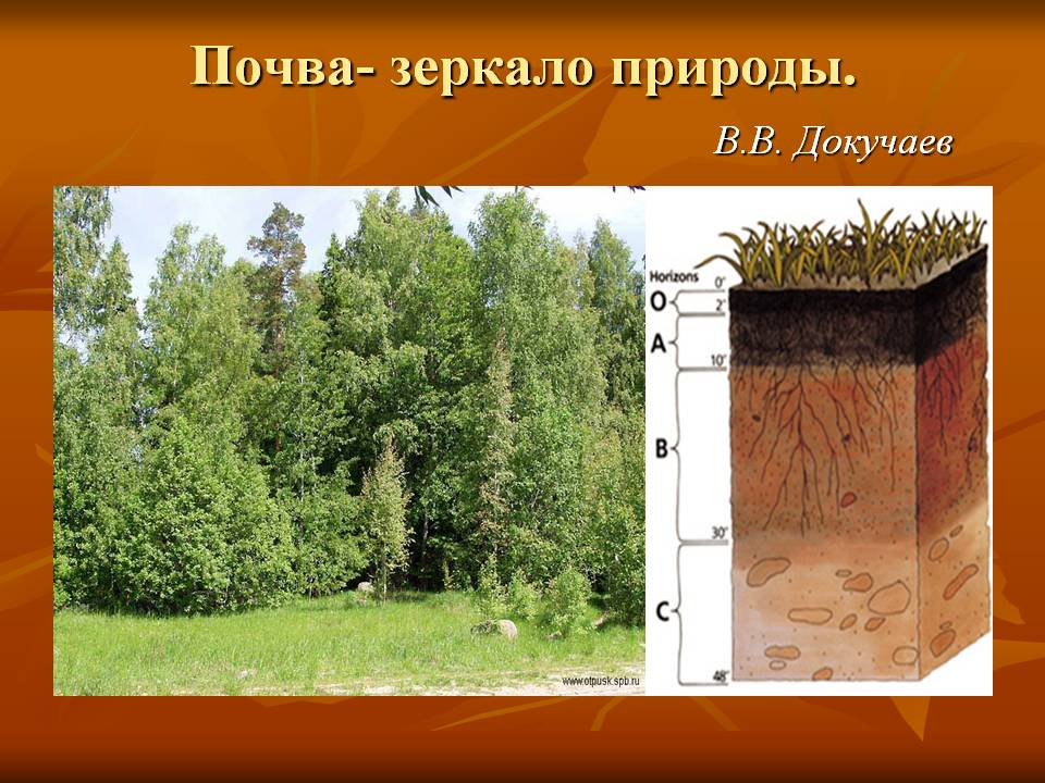 Почва- зеркало природы