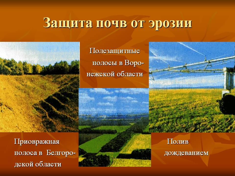 Защита почв от эрозии
