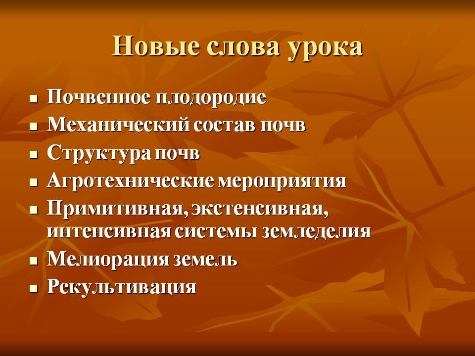 Новые слова урока