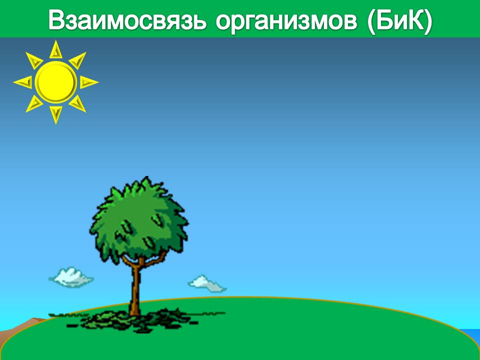 Взаимосвязь организмов (БиК)