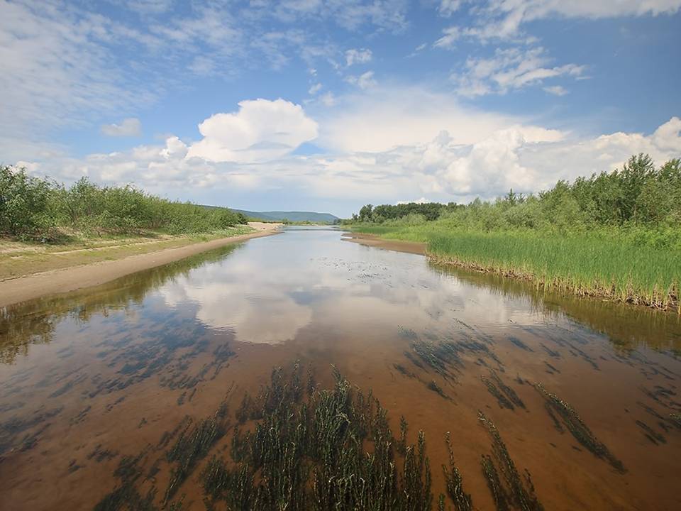 Реки