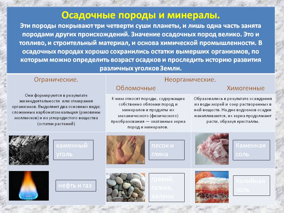 Осадочные породы и минералы