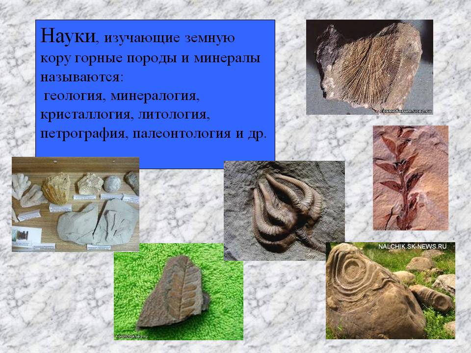 Науки, изучающие земную кору
