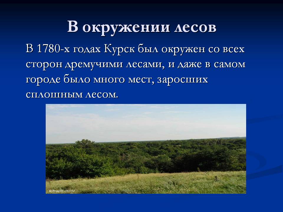 В окружении лесов
