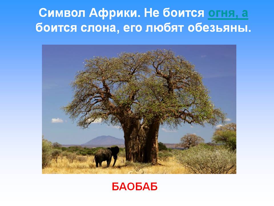 Символ Африки