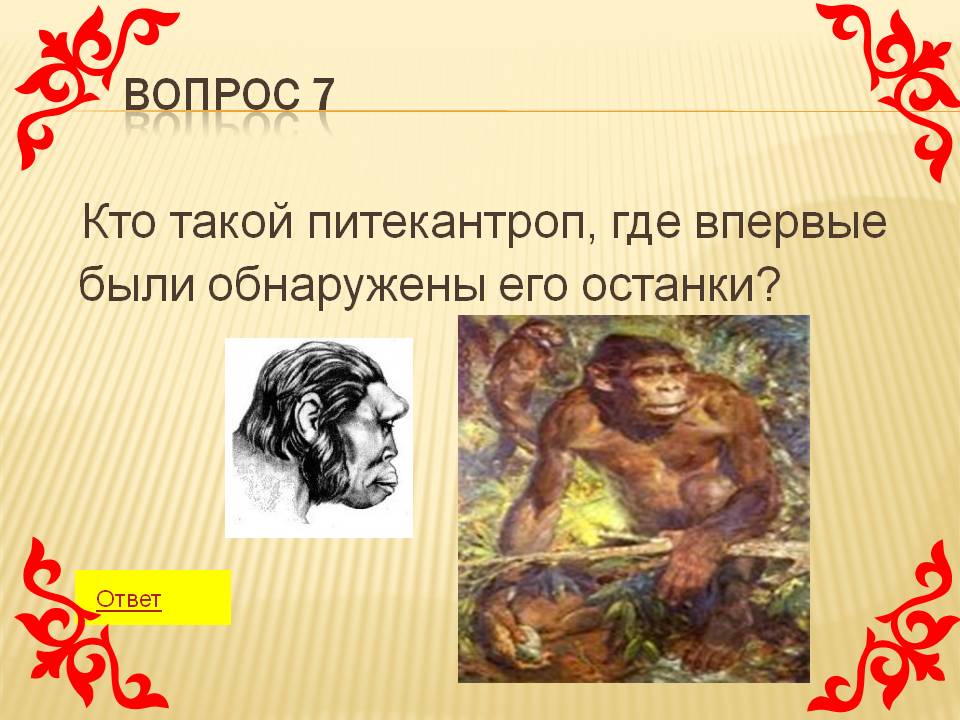 Кто такой питекантроп, где впервые были обнаружены его останки