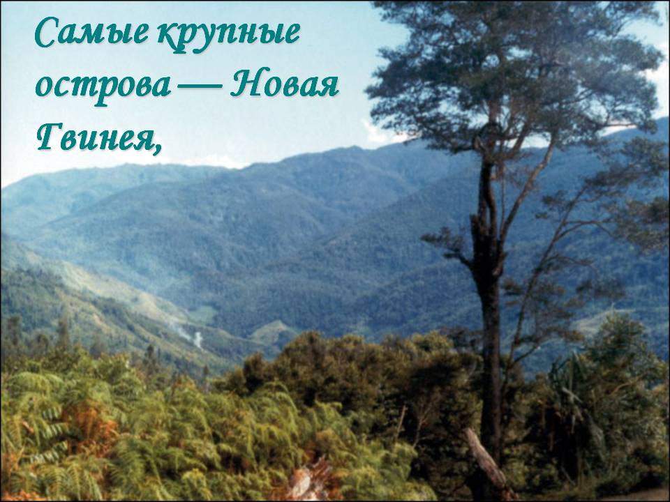 Самые крупные острова — Новая Гвинея,