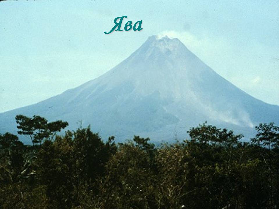 Ява