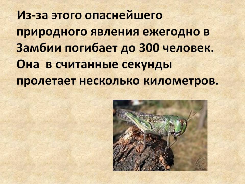 Несколько километров
