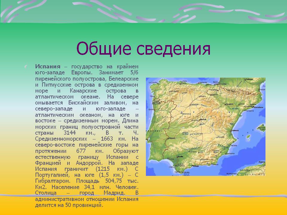 Общие сведения