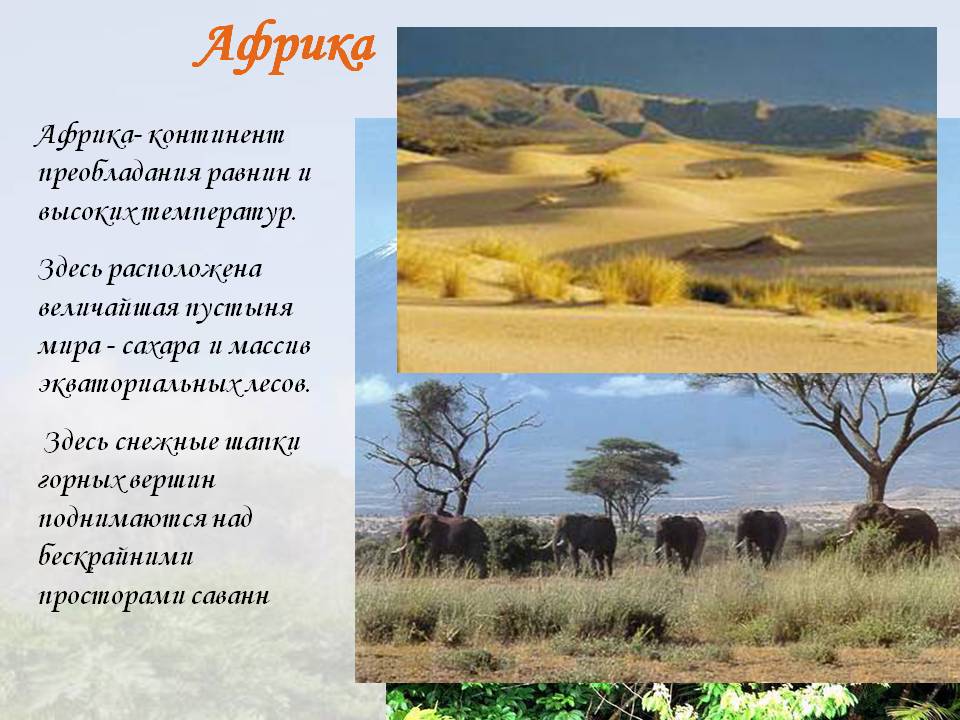 Африка
